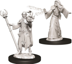 Elf Wizard - Male WZK73709 - D&D Nolzur's Marvelous Miniatures